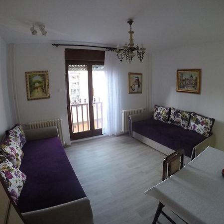 Violet Star Apartment 노비사드 외부 사진